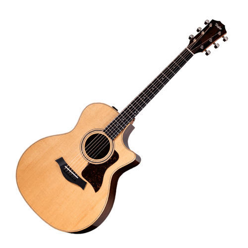 Elektroakustiset kitarat