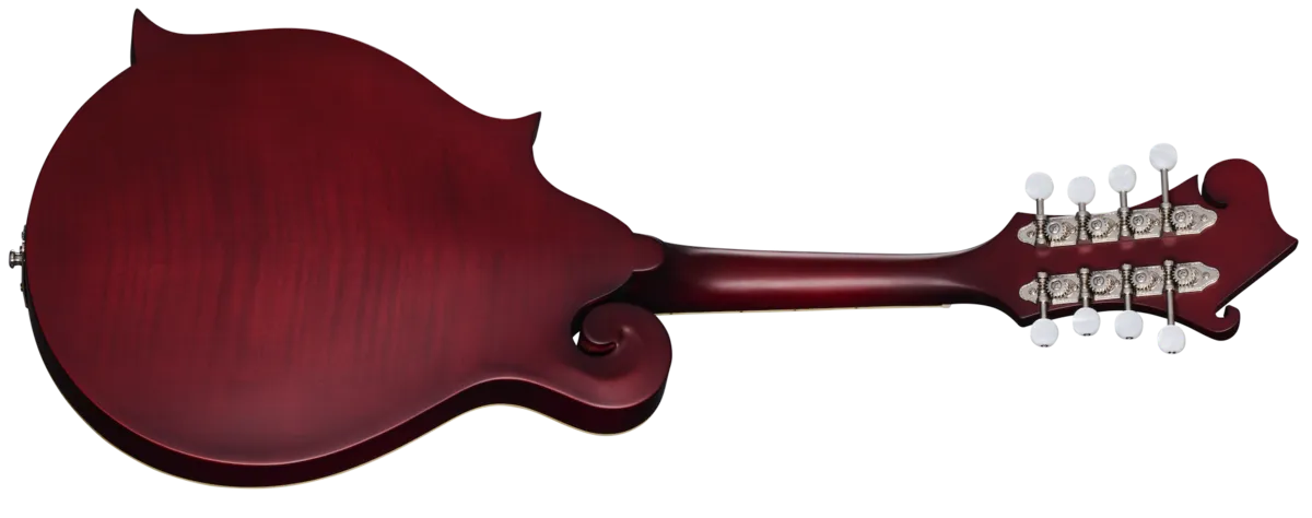 Epiphone F-5 Studio Wine Red Satin