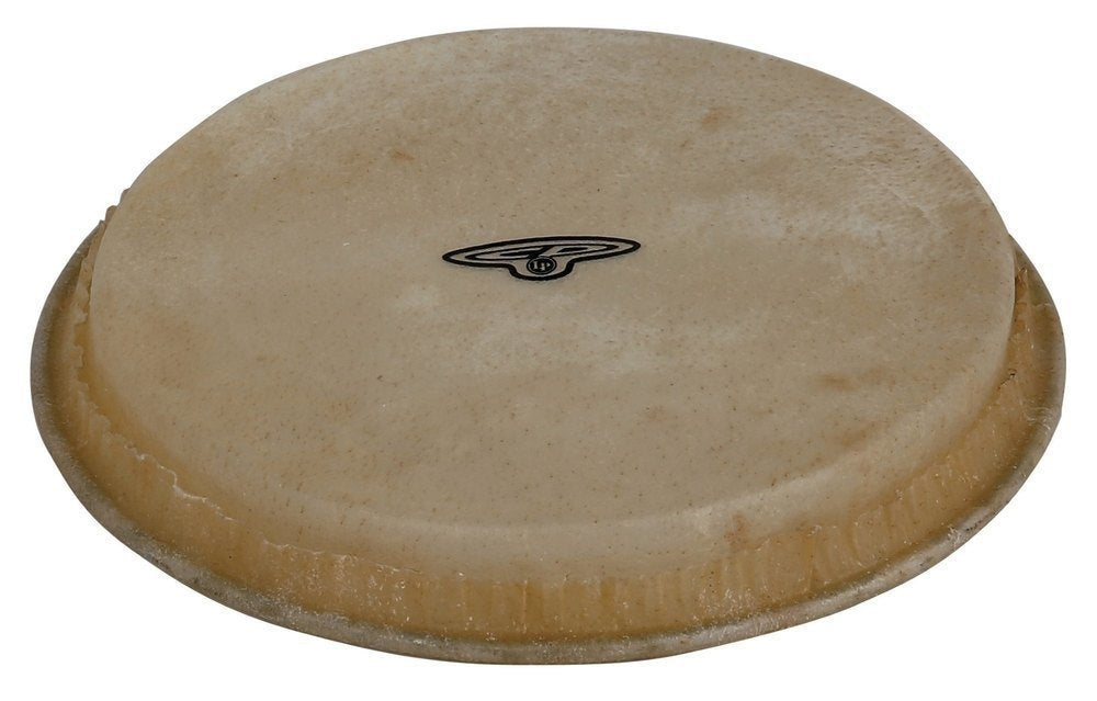 Bongon kalvo CP Traditional 6,5" Macho