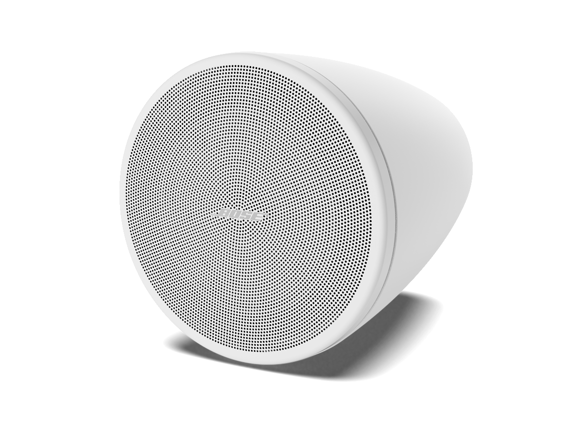 Bose DesignMax DM3P Ripustettavat Kaiuttimet, Valkoiset (Pari)