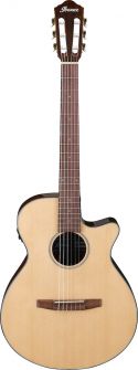 Ibanez AEG50N-NT nailonkielinen