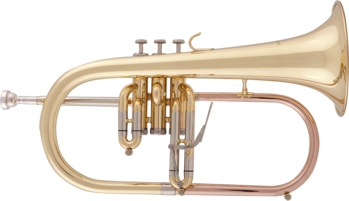 Flyygelitorvi AFH-655, lakattu