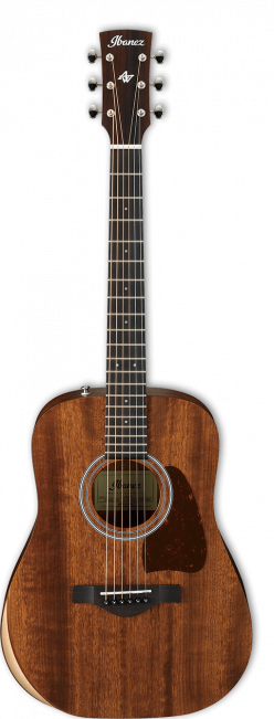 Ibanez AW54 Artwood Junior