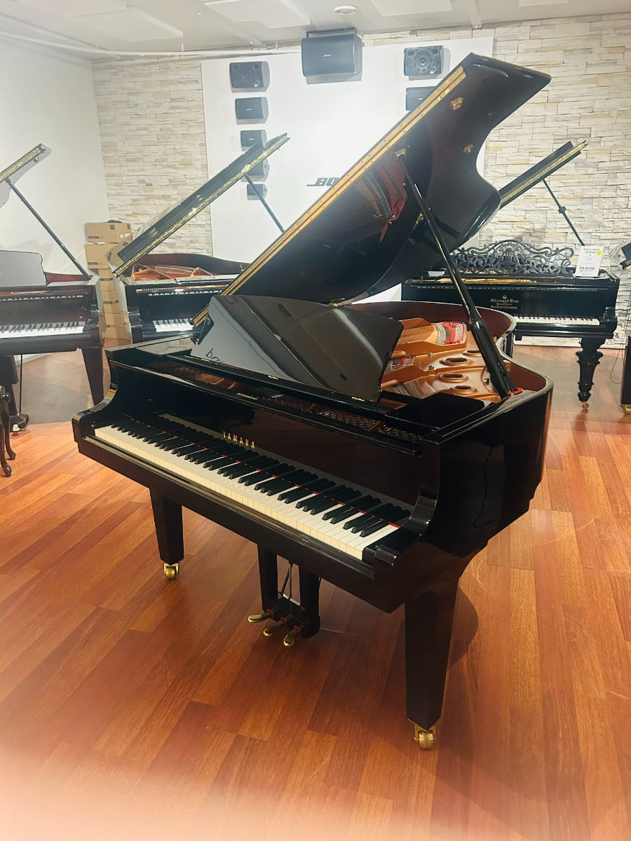 C3X Disklavier