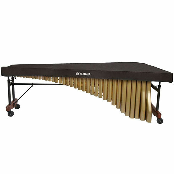 dcym_marimba.jpg