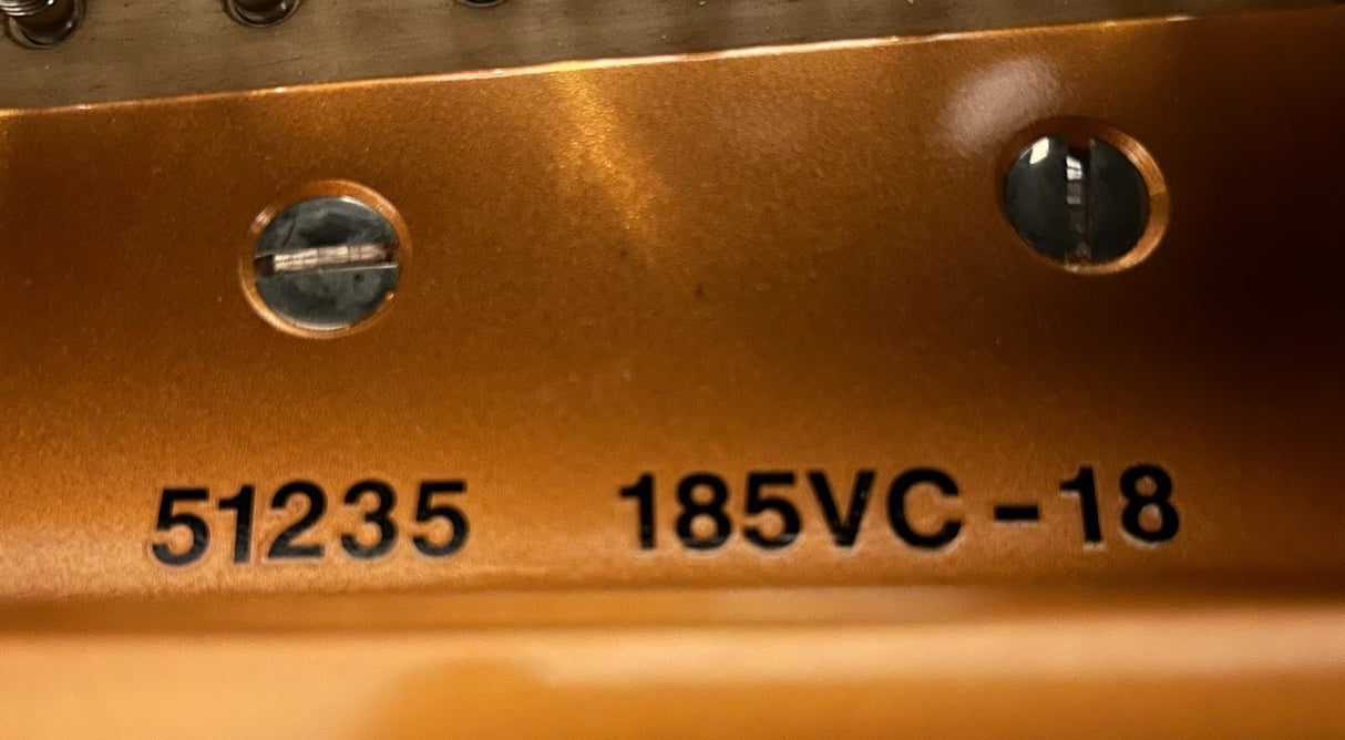 Vienna Concert 185 Disklavier