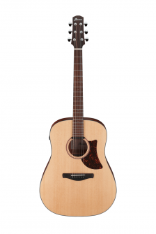Ibanez AAD100E-OPN