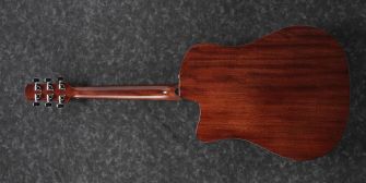Ibanez AAD170CE-LGS