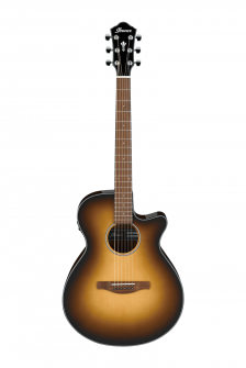 Ibanez AEG50-DHH