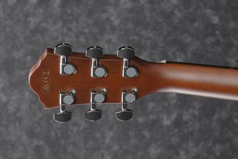 Ibanez AEG70TCH