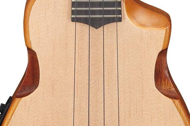 Ibanez AUC14-OVL ukulele pussilla