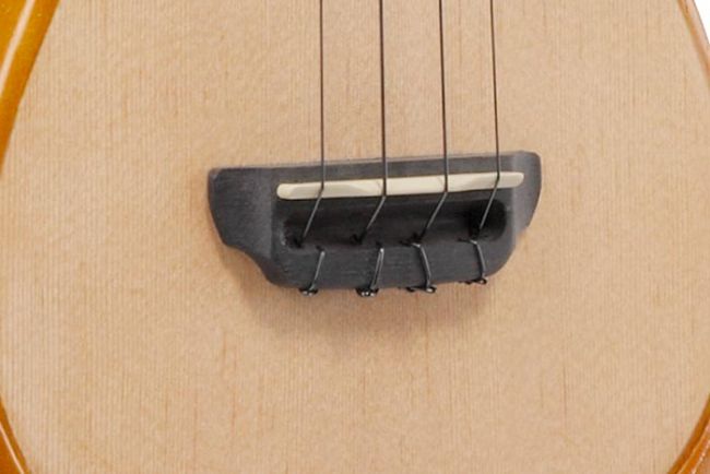 Ibanez AUC14-OVL ukulele pussilla