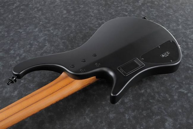 Ibanez EHB1005-BKF Bass Workshop
