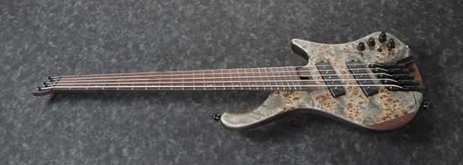 Ibanez EHB1505MS-BIF Bass Workshop