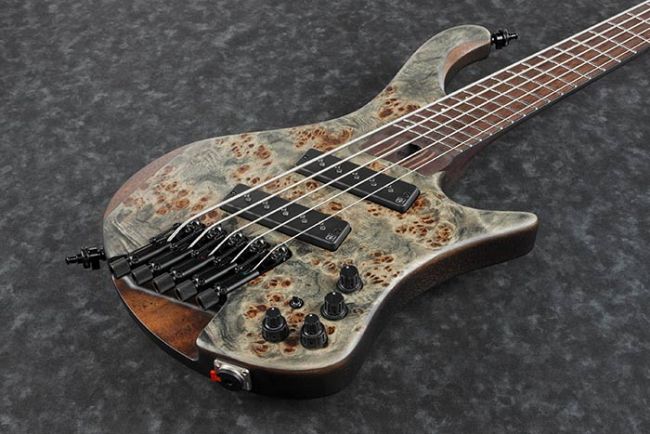 Ibanez EHB1505MS-BIF Bass Workshop