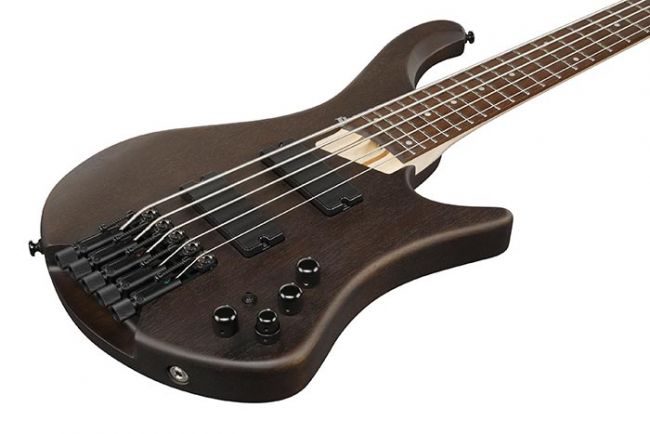 Ibanez EHB605-WNF