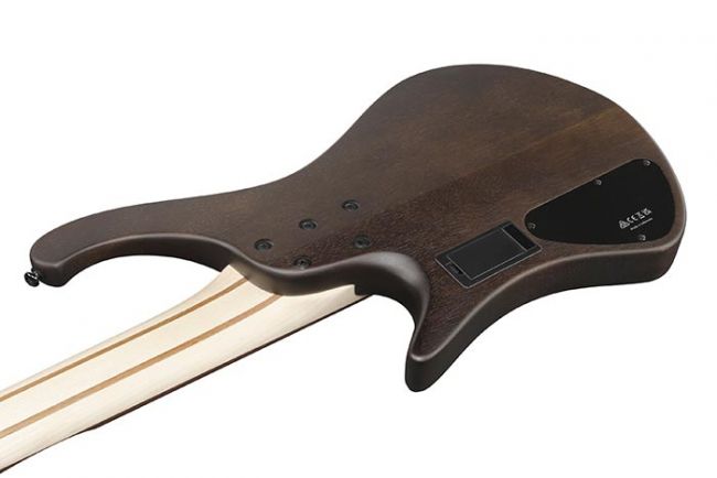 Ibanez EHB605-WNF