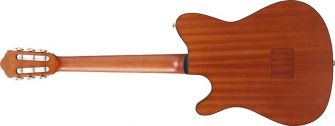 Ibanez FRH10N-RGF nylonkielinen kitara