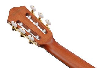 Ibanez FRH10N-RGF nylonkielinen kitara