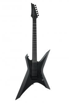 Ibanez XPTB620BKF Iron Label