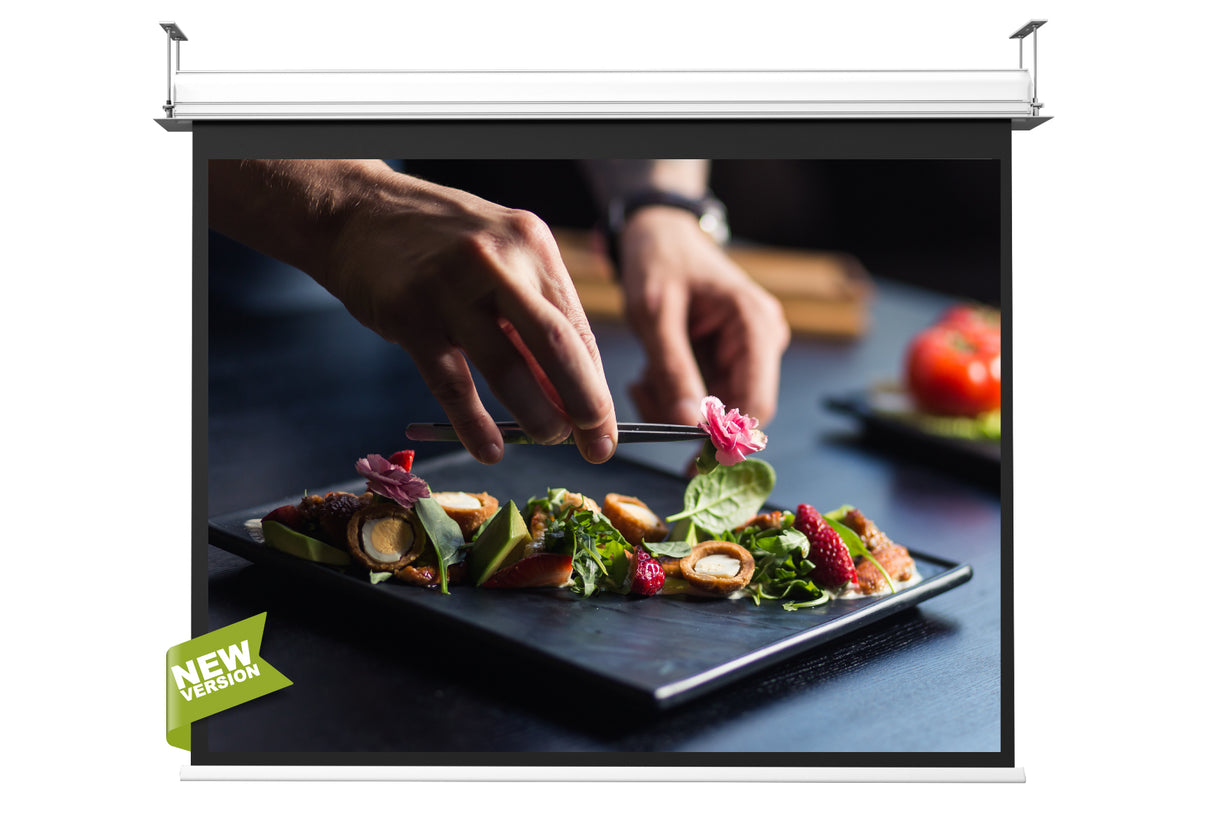 Inceiling 250x250 HomeVision