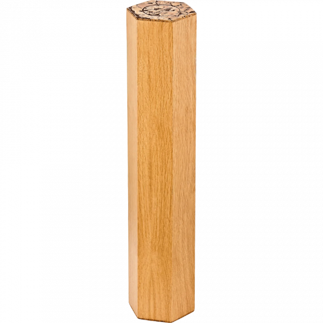 Meinl Sonic Energy Wood Rainmaker, 5 min