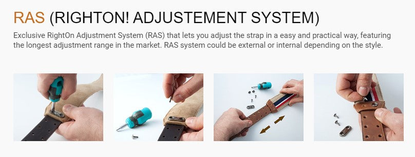 ras_system.jpg