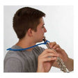 the_flute_tutor.jpg
