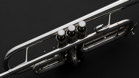 Puhallinsoittimien huolto