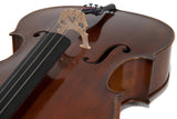 Sello Allegro Antique 4/4 (GS4020572111)