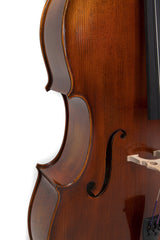 Sello Allegro Antique 4/4 (GS4020572111)