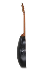 Elektro-akustinen kitara Pro Series Legend USA Natural Satin