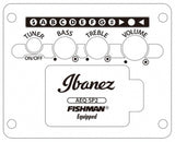 Ibanez AEWC400-TKS