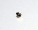 Ibanez 2LE2-10 - Saddle Holder Lock -ruuvi Edge / Lo-Pro Edge