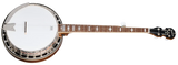 Epiphone Mastertone Classic Banjo Natural