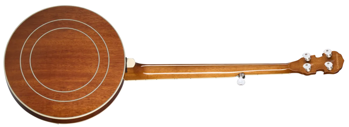 Epiphone Mastertone Classic Banjo Natural