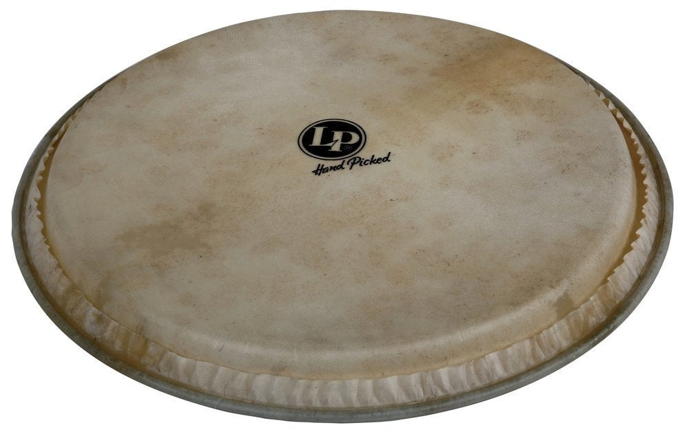 Djemben kalvo Hand Picked 12,5" Vuohennahka