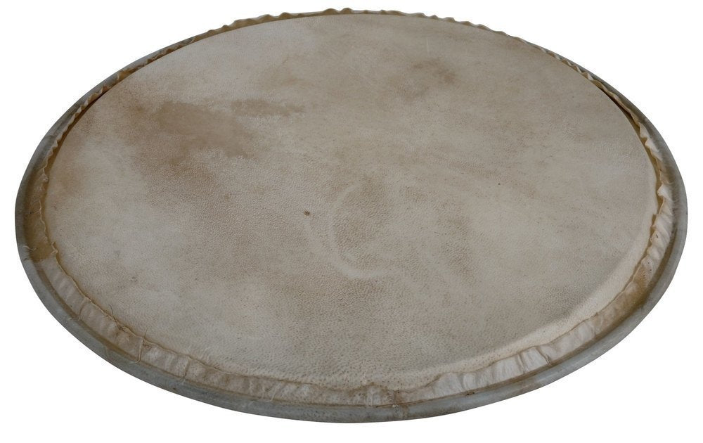 Perkussiokalvo Plenera 8"