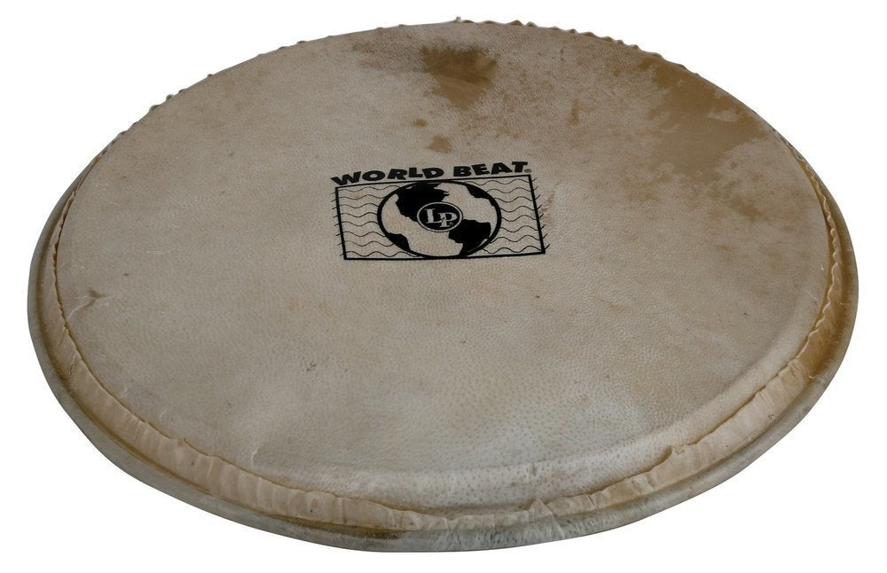 Perkussiokalvo Plenera 10"