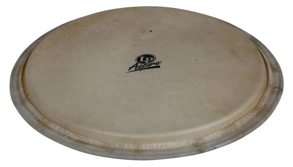 Djemben kalvo Aspire 12,5" Vuohennahka