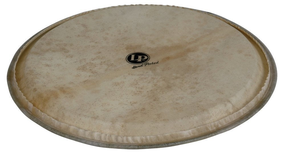Djemben kalvo Hand Picked 14" Vuohennahka