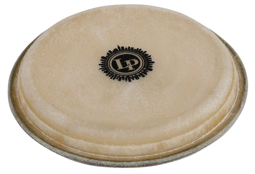 Bongon kalvo City EZ Curve Rim 7,5" Hembra