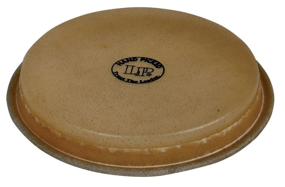 Bongon kalvo Hand Picked T-X Rims LP1964 Original 8 ¼" Hembra