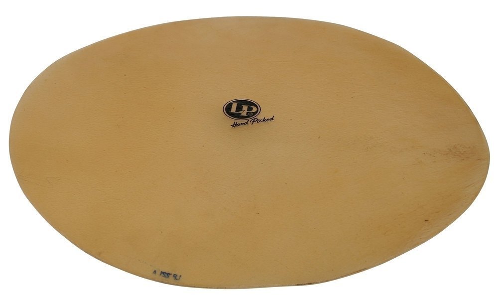 Congan kalvo Hand Picked Flat Skin 19" (-> 11" Quinto)