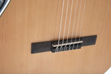 Celebrity Traditional CS24C Mid Cutaway Nylon Natural