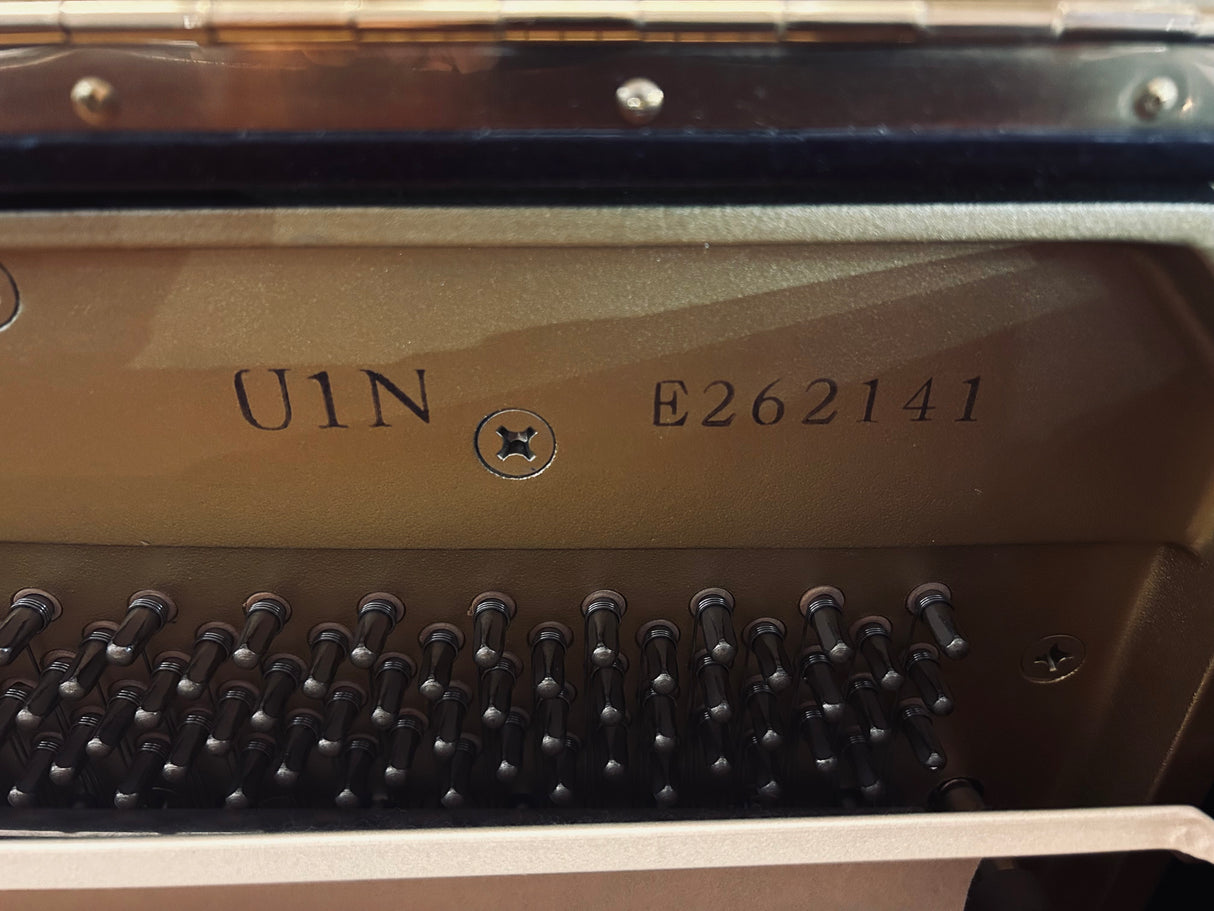 U1 N