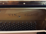 U1 N