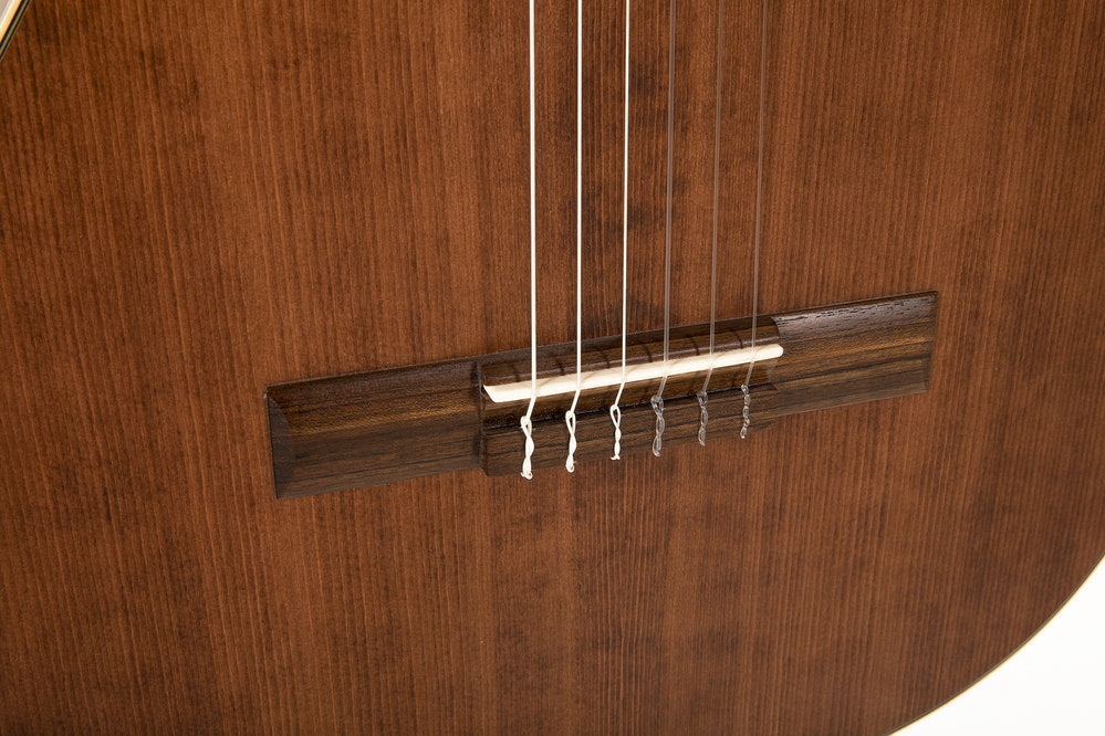 Klassinen kitara Pro Arte GC-Antique