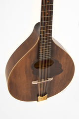 Pro Arte Mandola Antique