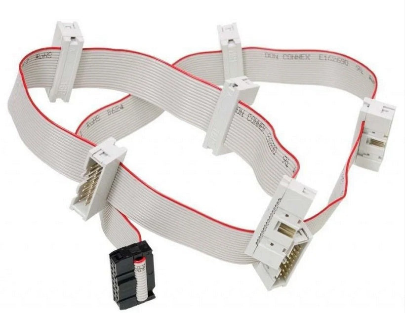 Flying Bus Cable - 10 head